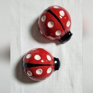 Salt and pepper shakers, ladybugs- homegoods
